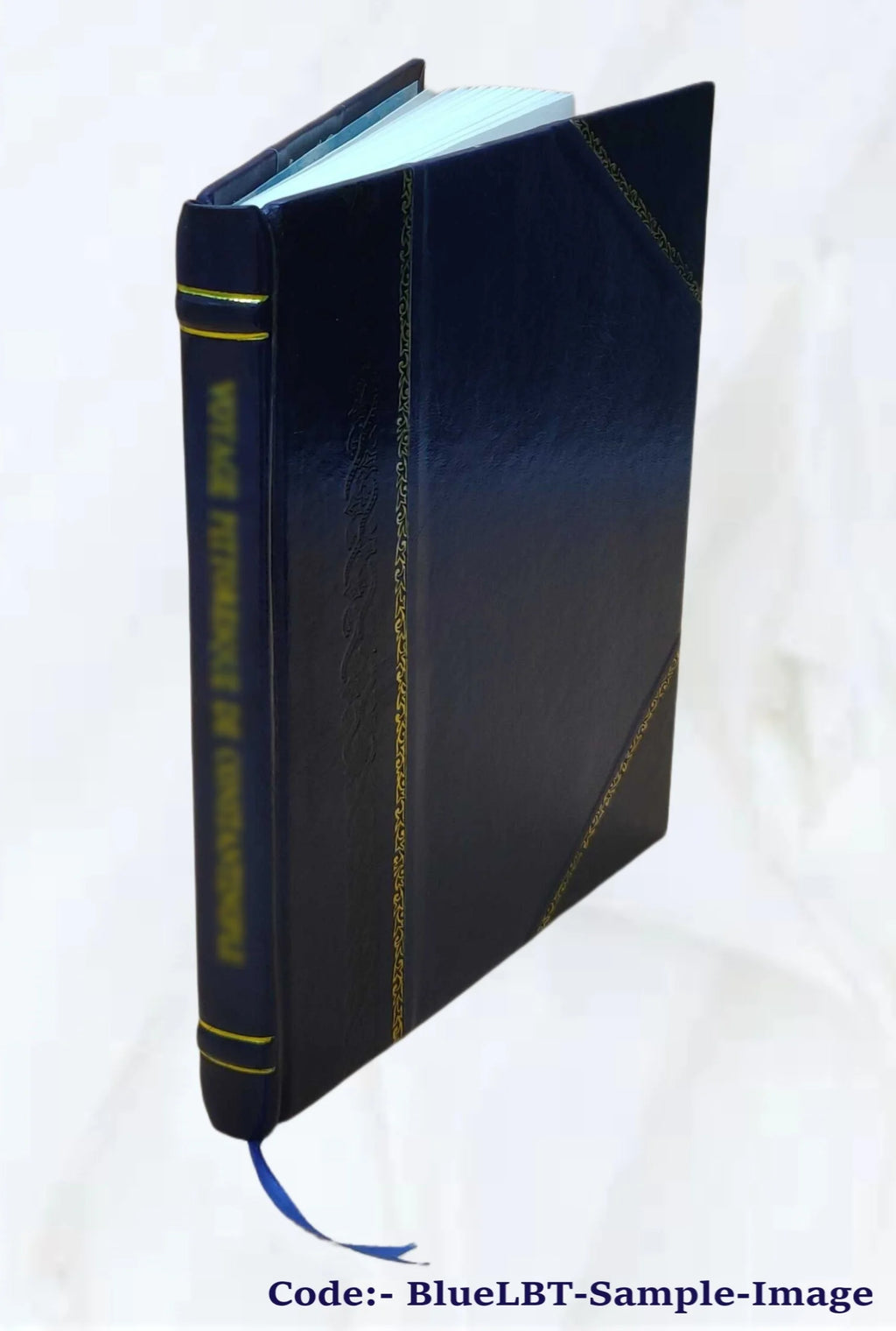 Kinetic modeling of petroleum formation in the Maracaibo Basin, final report, annex XII W8910