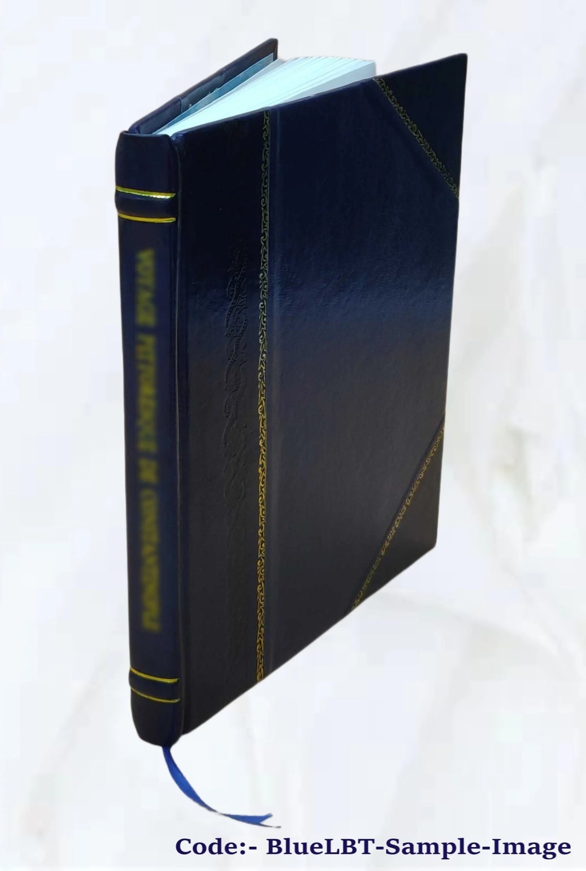 Kinetic modeling of petroleum formation in the Maracaibo Basin, final report, annex XII W8910