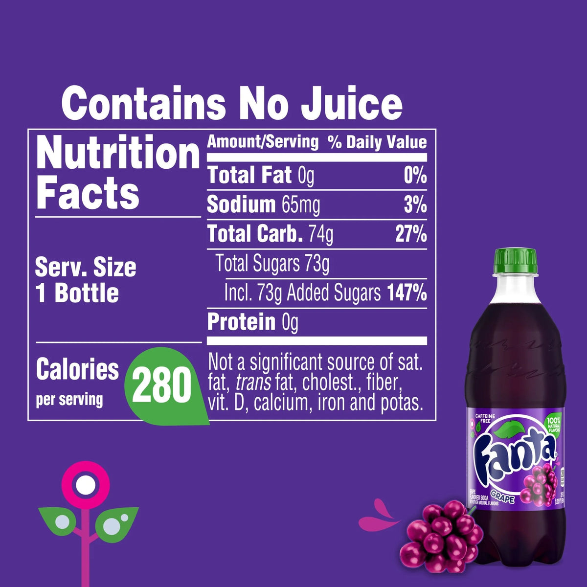Grape Soda 20oz 6 Bottles W4532