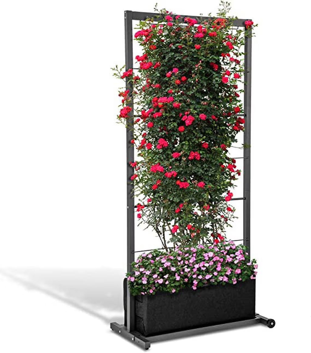 Trellis Garden L73208