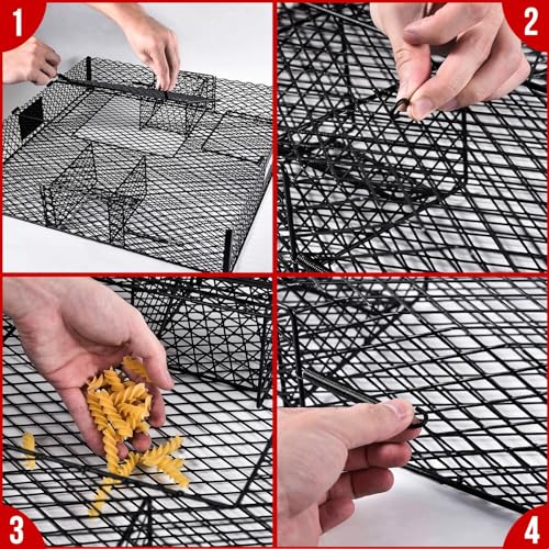Metal Squirrel Trap M626841