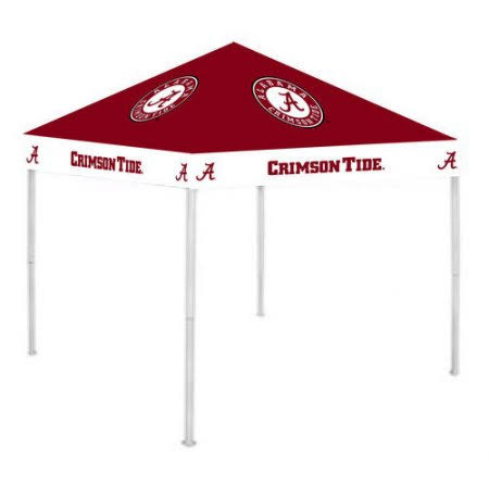 Canopy R23107