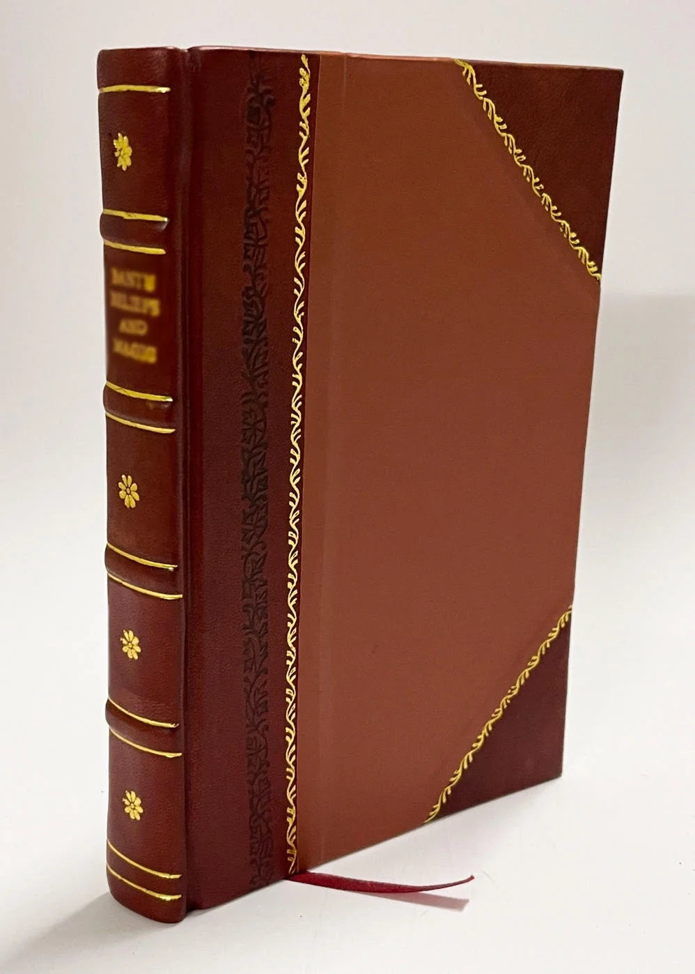Leather Bound Book B894306