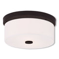 Bronze 2 Light Ceiling Mount J784677