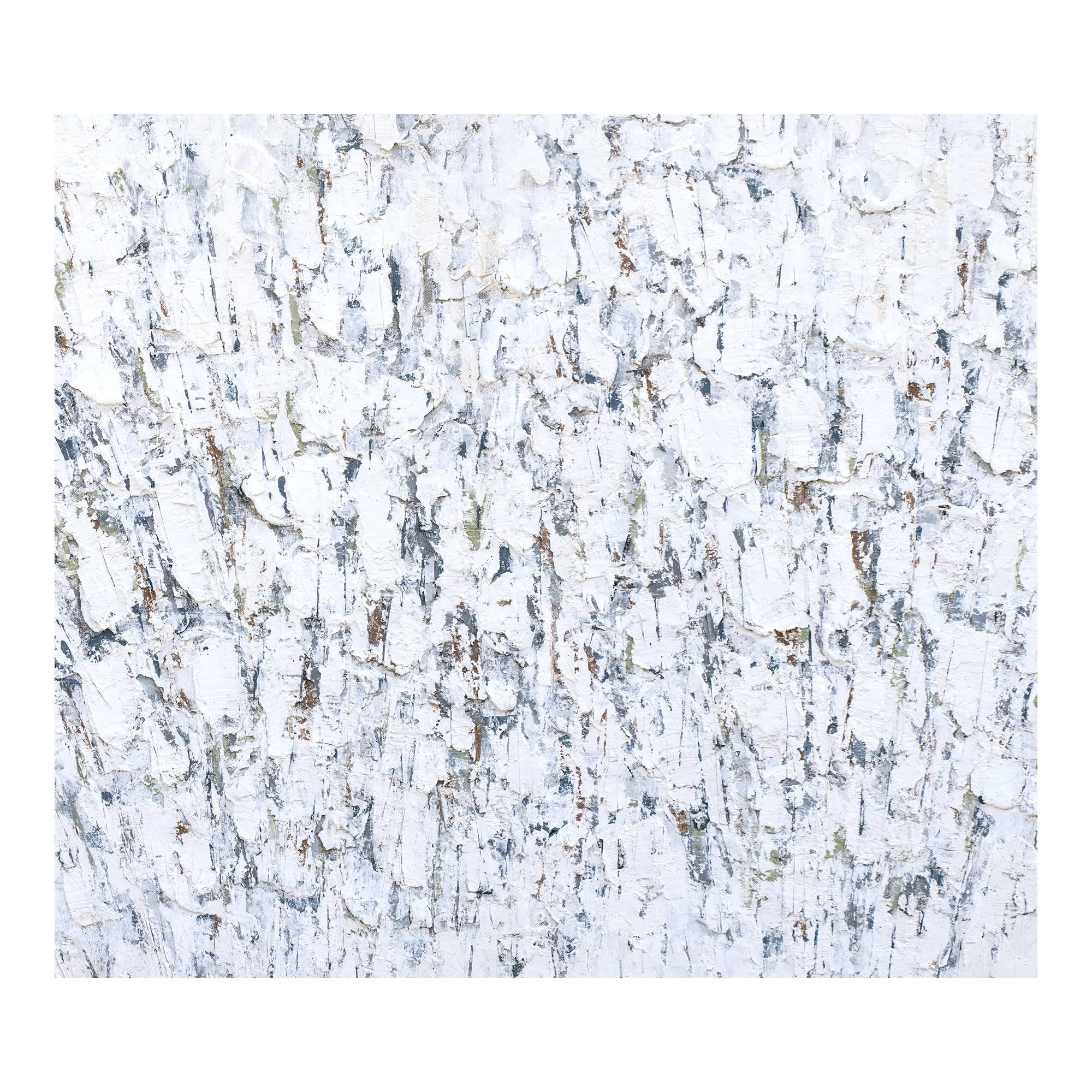 Wall Decor O429