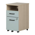 2-Drawer Mobile File Cabinet F974033