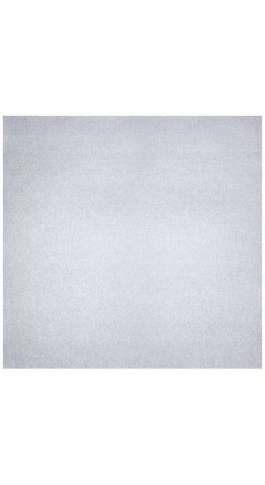 Silver Metallic Drop-In Envelope Liners 50/Box T686
