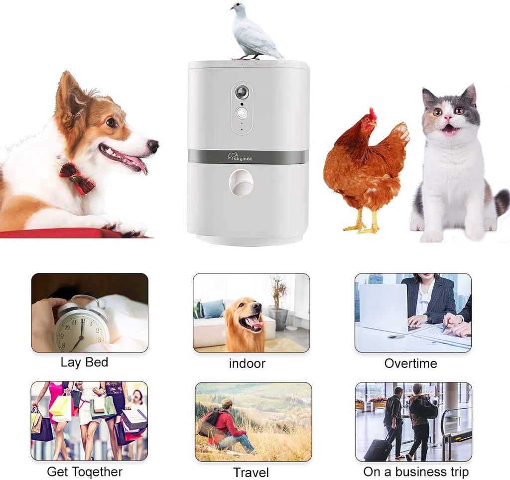 Dog Camera Treat Dispenser with Two-Way Audio and Night Vision Y819