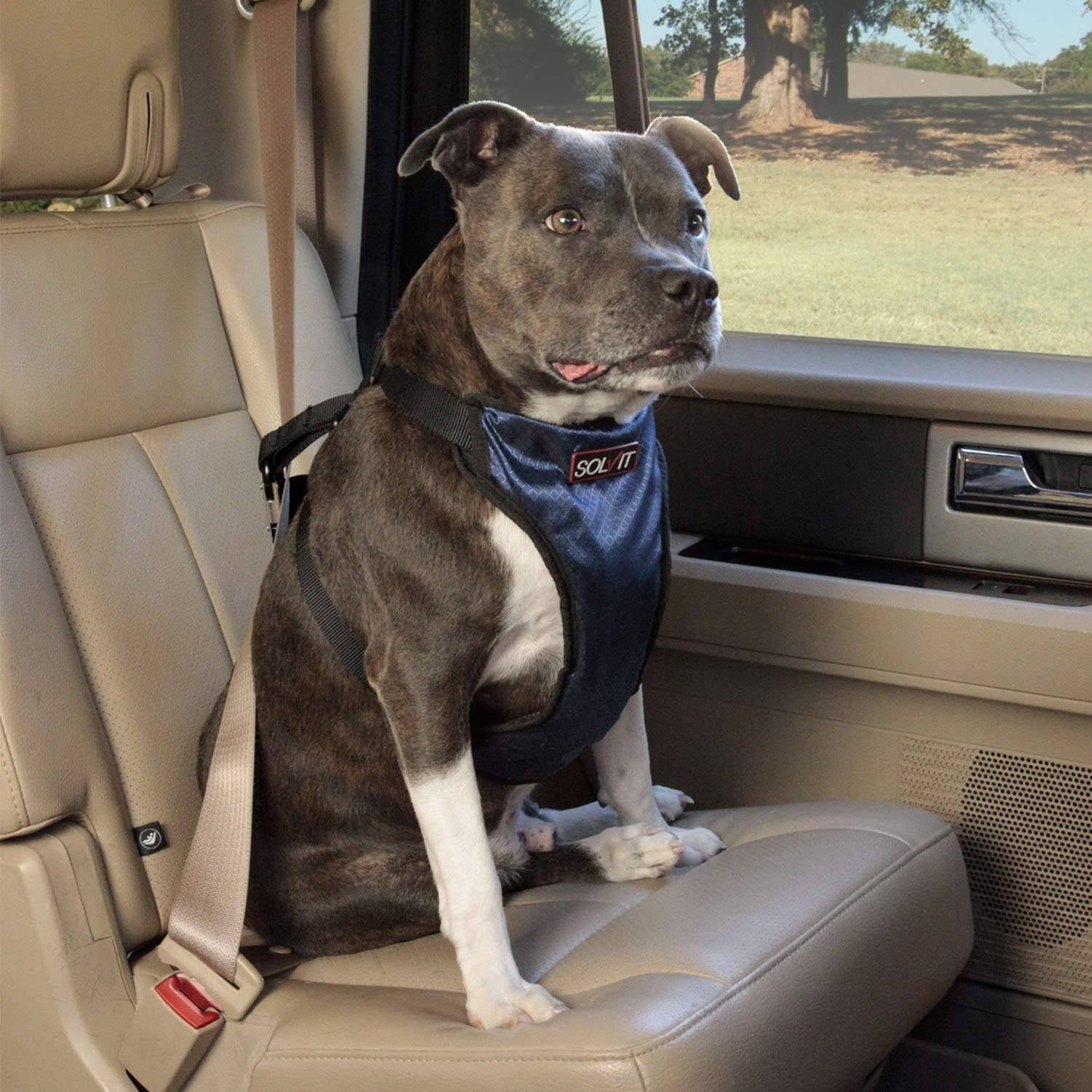 Deluxe Car Safety Harness Large M4242