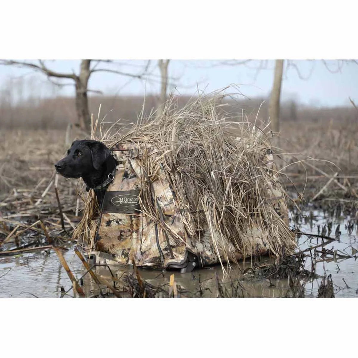 Dog Blind Q40906