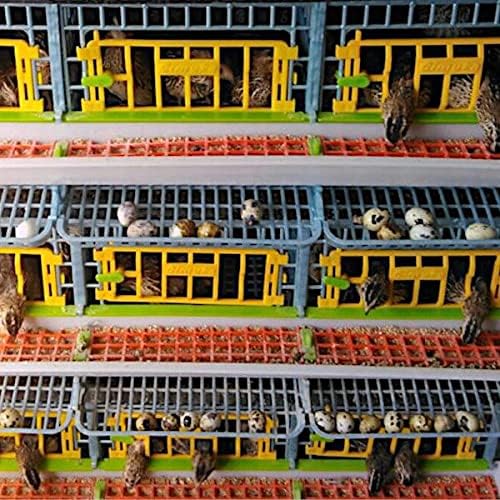 3 Layer ABS Plastic Quail Cage Z67855