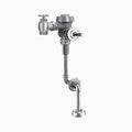 Royal Manual Flushometer G27907