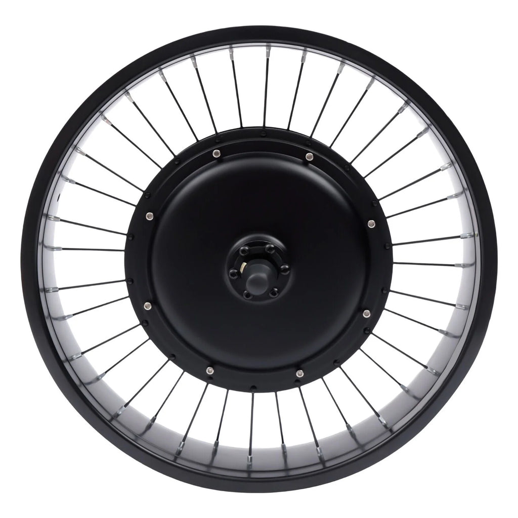 20" Electric Bicycle Front Wheel Conversion Kit Fat Tire 1000W 48V K435