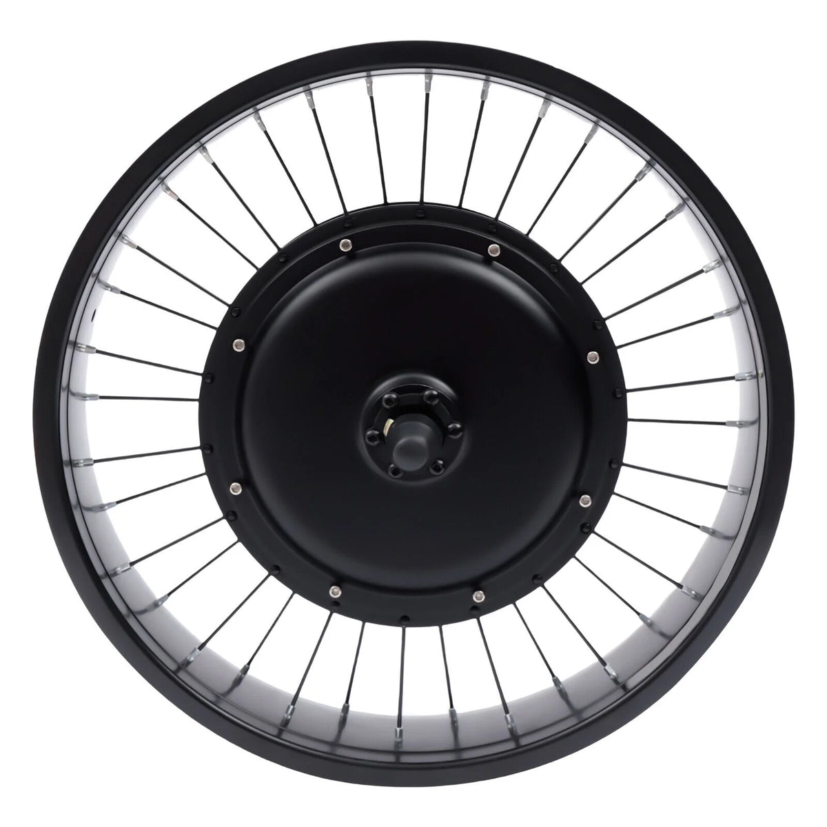 20" Electric Bicycle Front Wheel Conversion Kit Fat Tire 1000W 48V K435