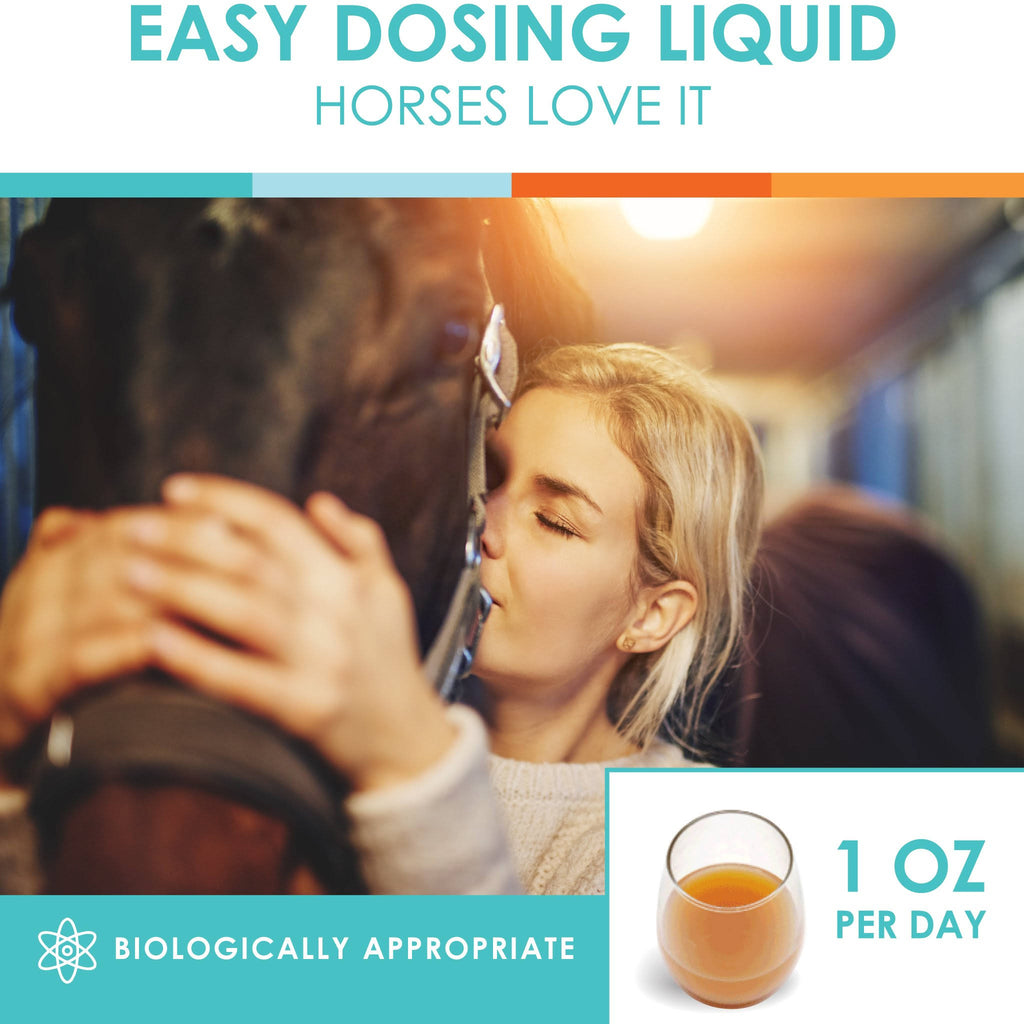 Natural Glucosamine Joint Support for Horses O893