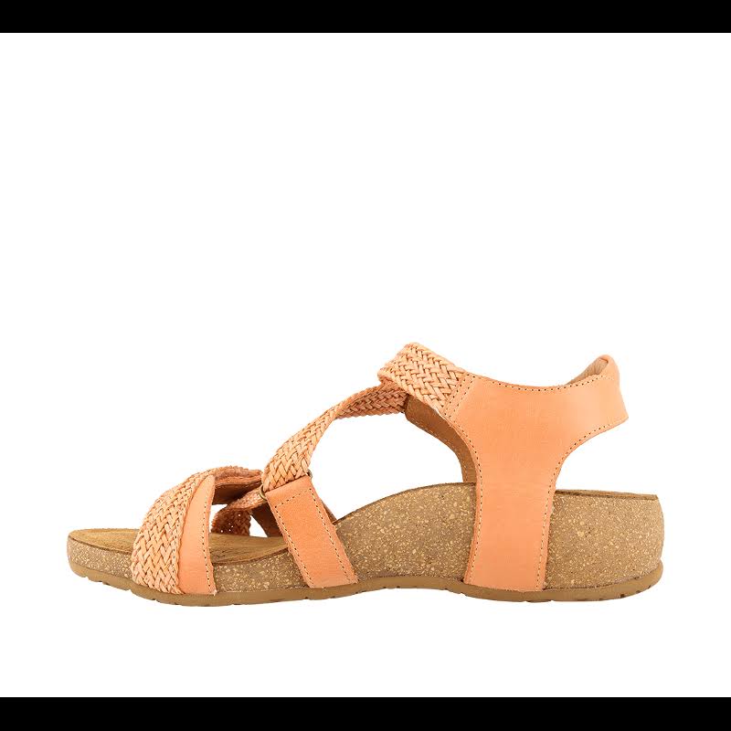 Cantaloupe Shoes C53247