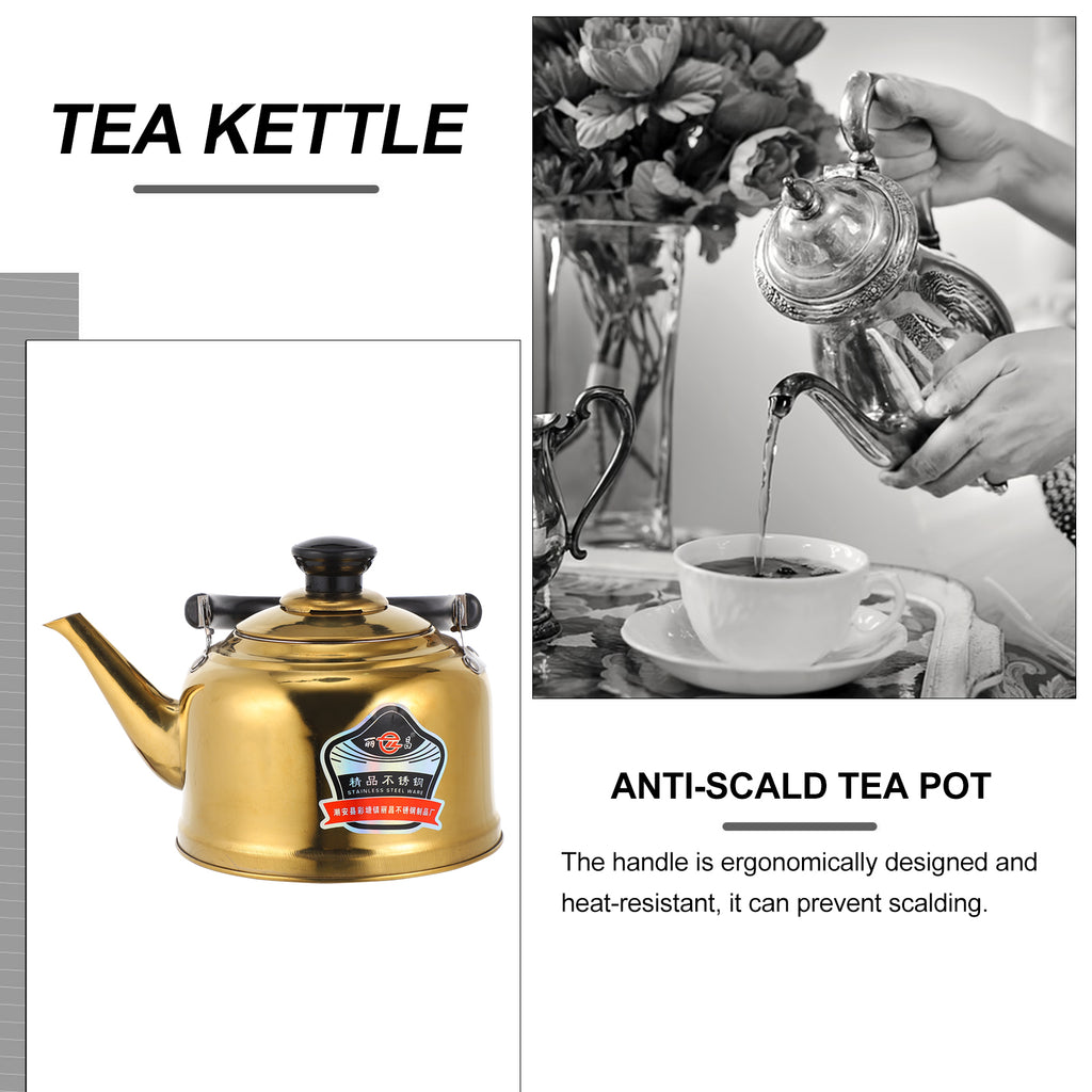 Stainless Steel Whistling Tea Kettle Stovetop Pot E554