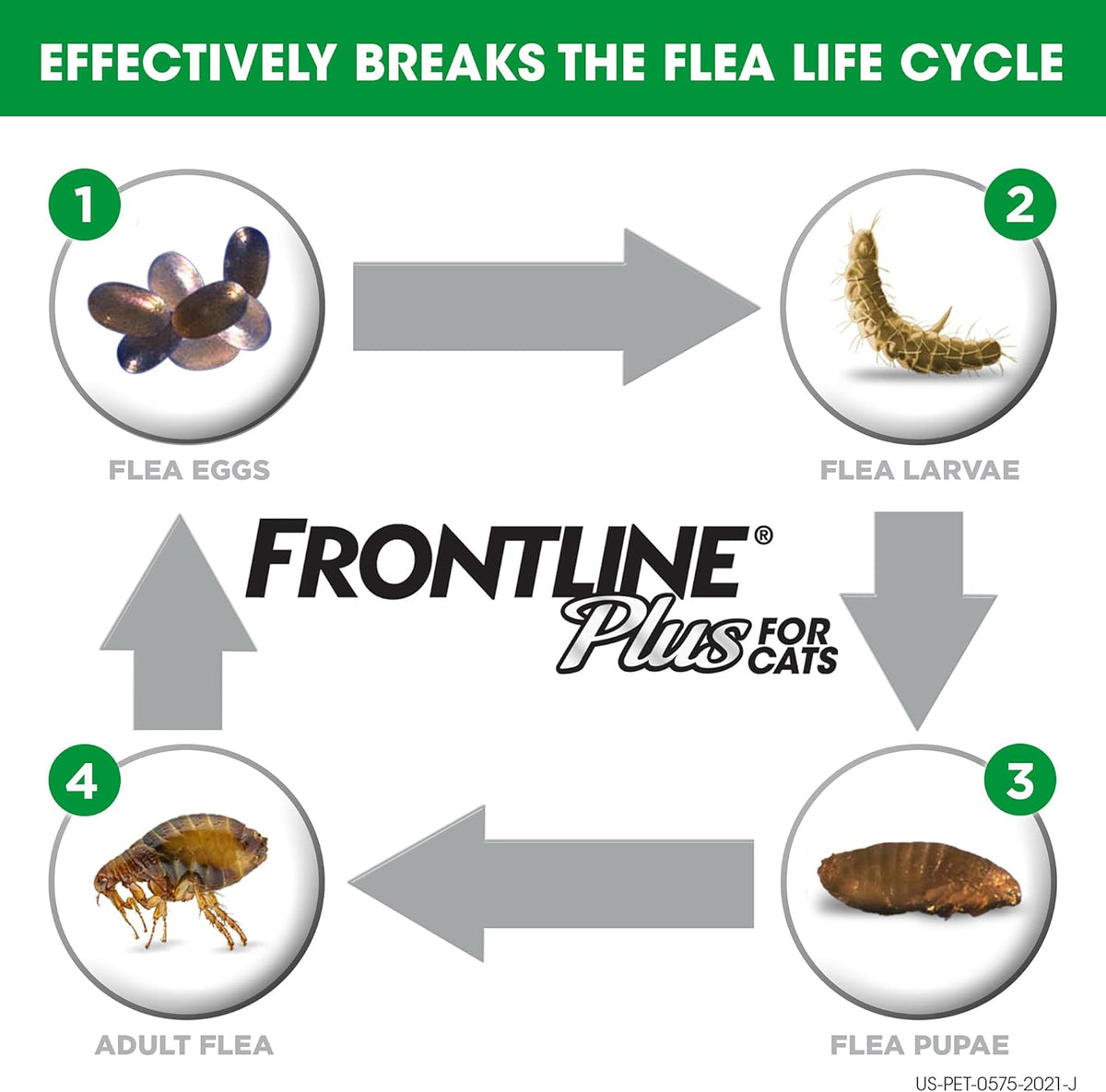 Flea and Tick Treatment for Cats K18945