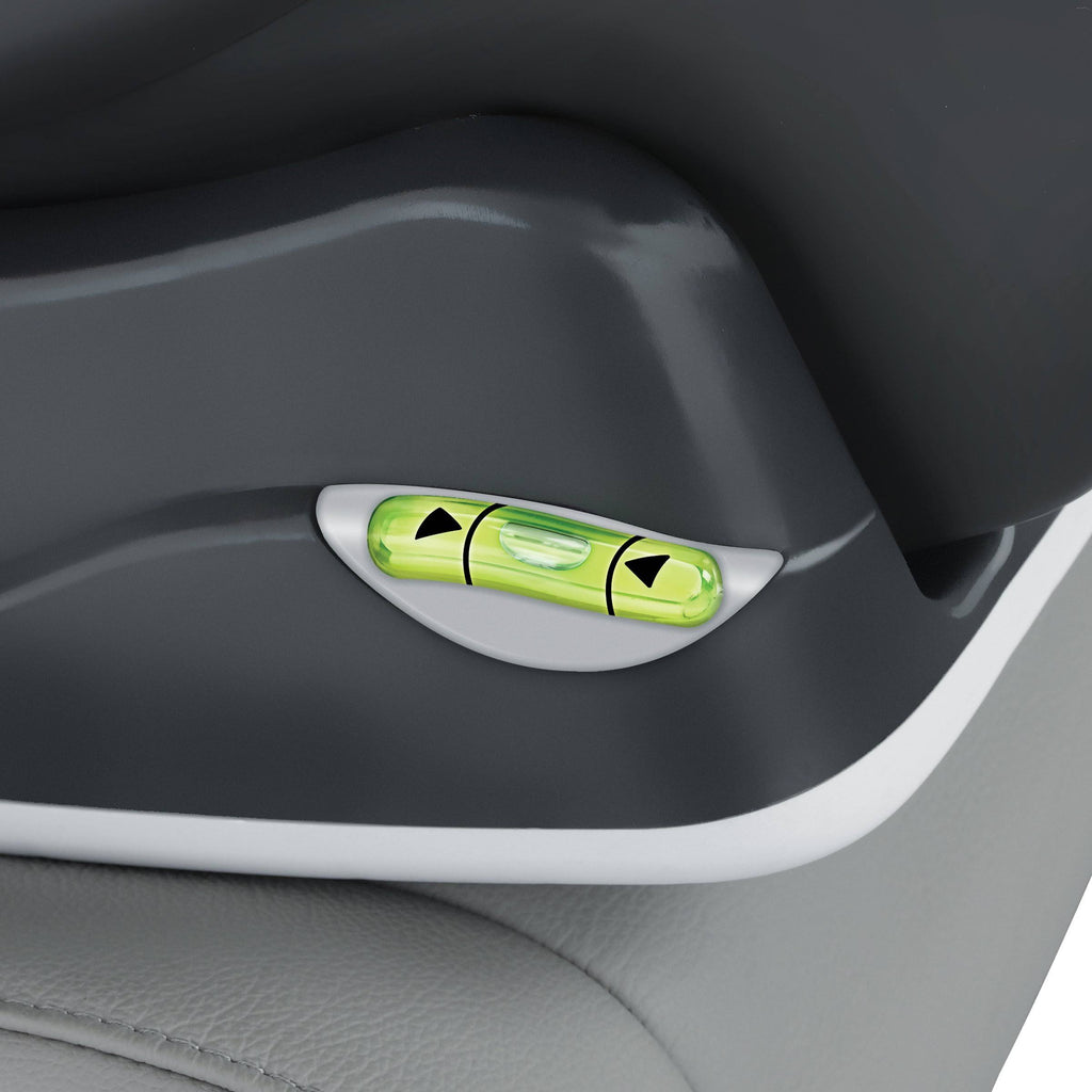 Chicco Fit2 Infant & Toddler Car Seat - Cienna D956
