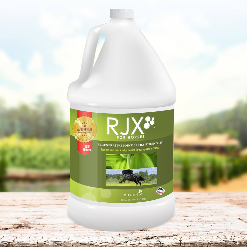 Natural Glucosamine Joint Support for Horses O893
