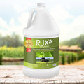 Natural Glucosamine Joint Support for Horses O893
