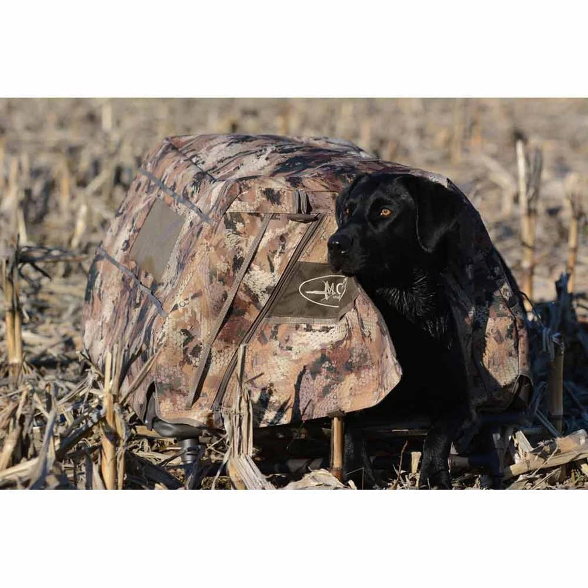 Dog Blind Q40906