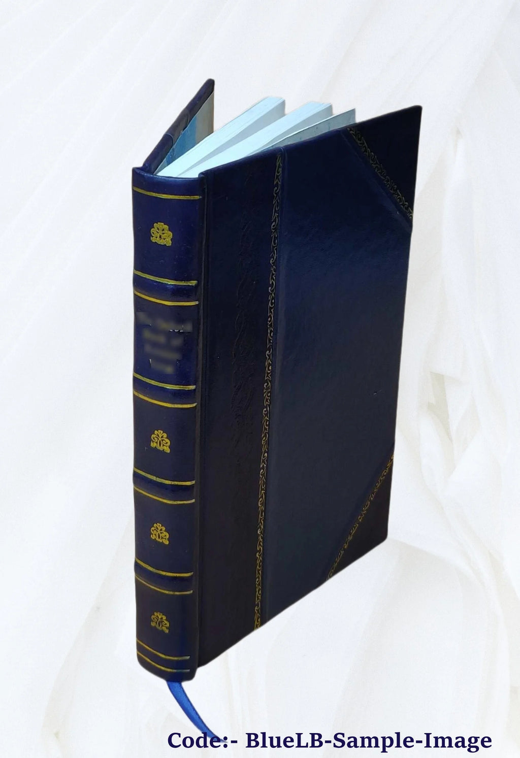Leather Bound Book Y579910