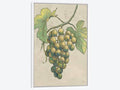 Framed Canvas Art White Floating Frame K350647