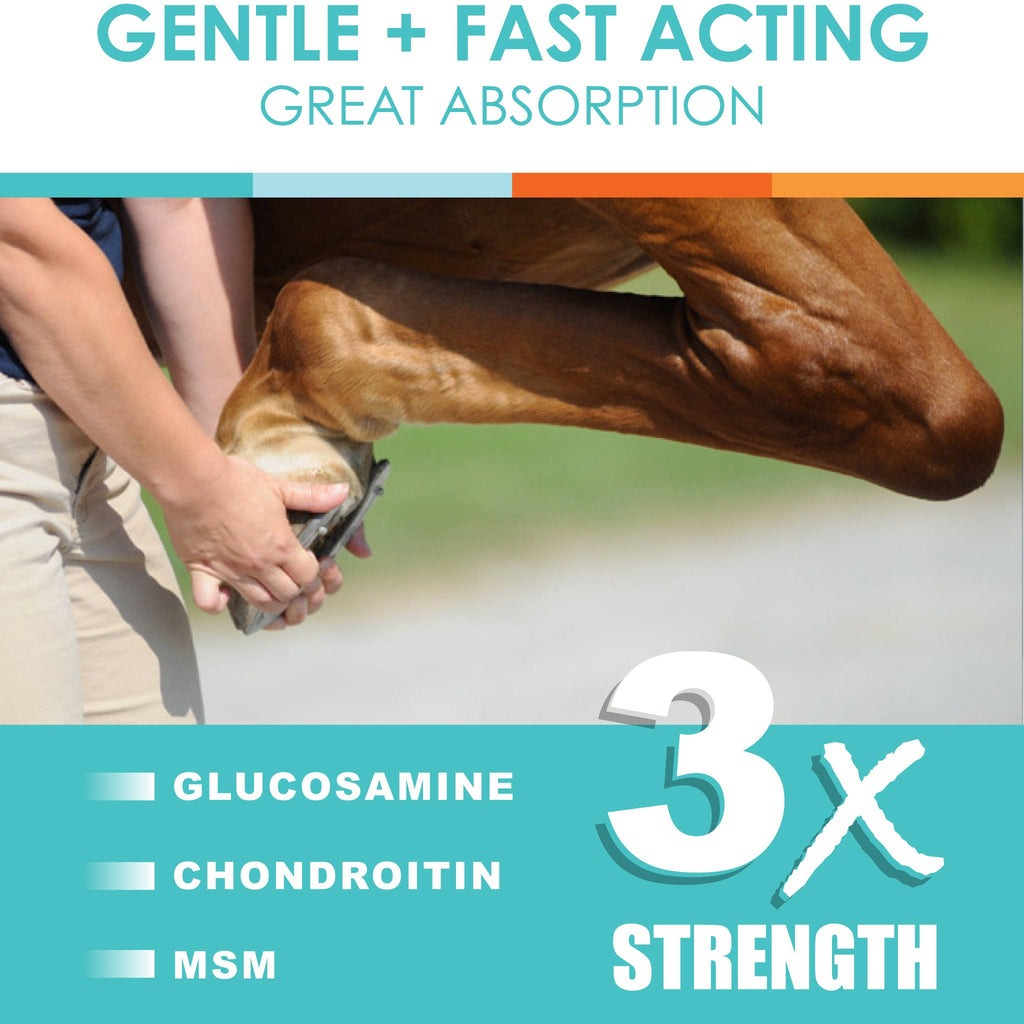 Natural Glucosamine Joint Support for Horses O893