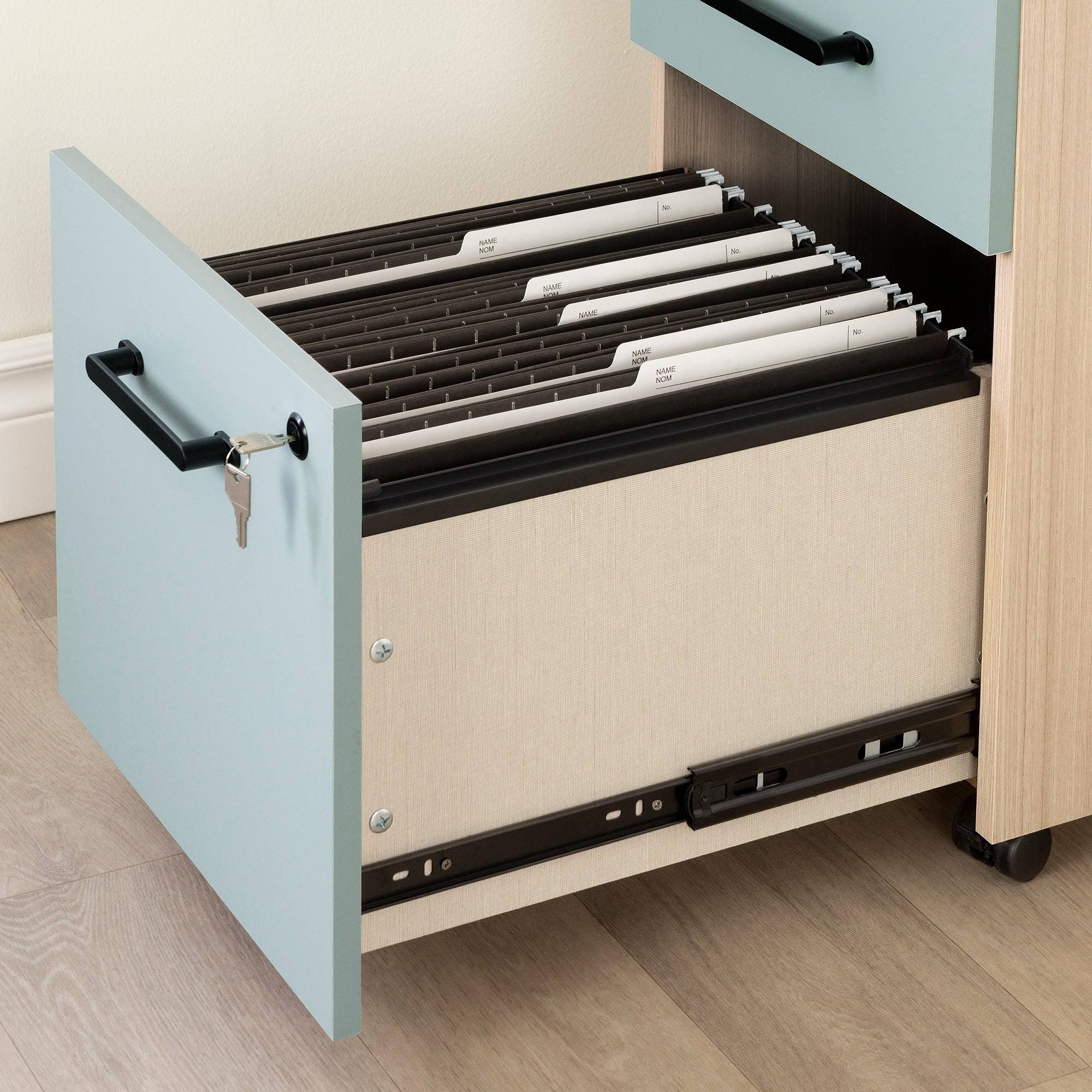 2-Drawer Mobile File Cabinet F974033
