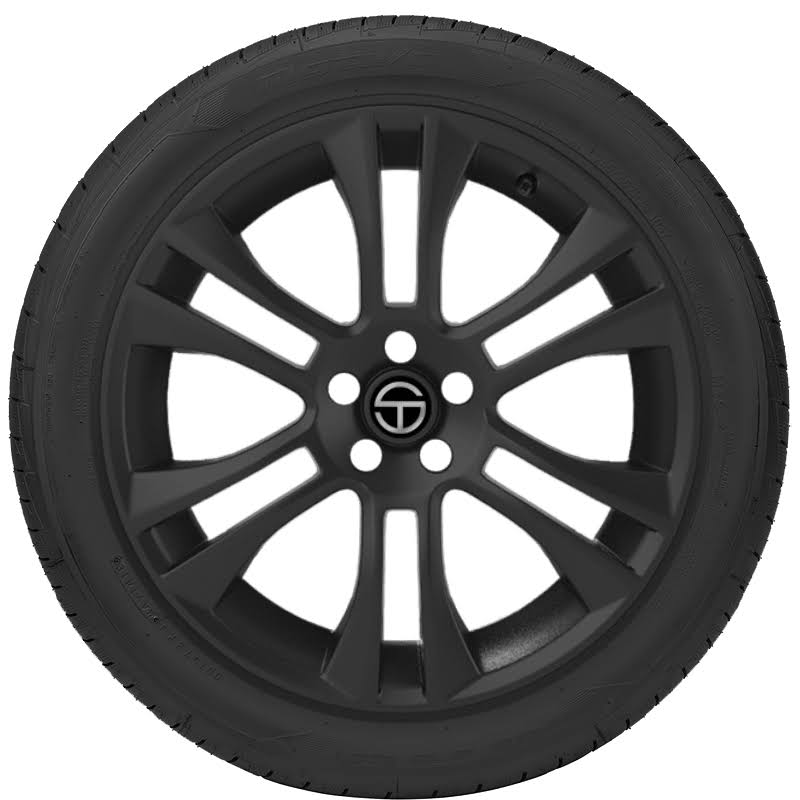 215/50ZR17 95W XL Tire D550