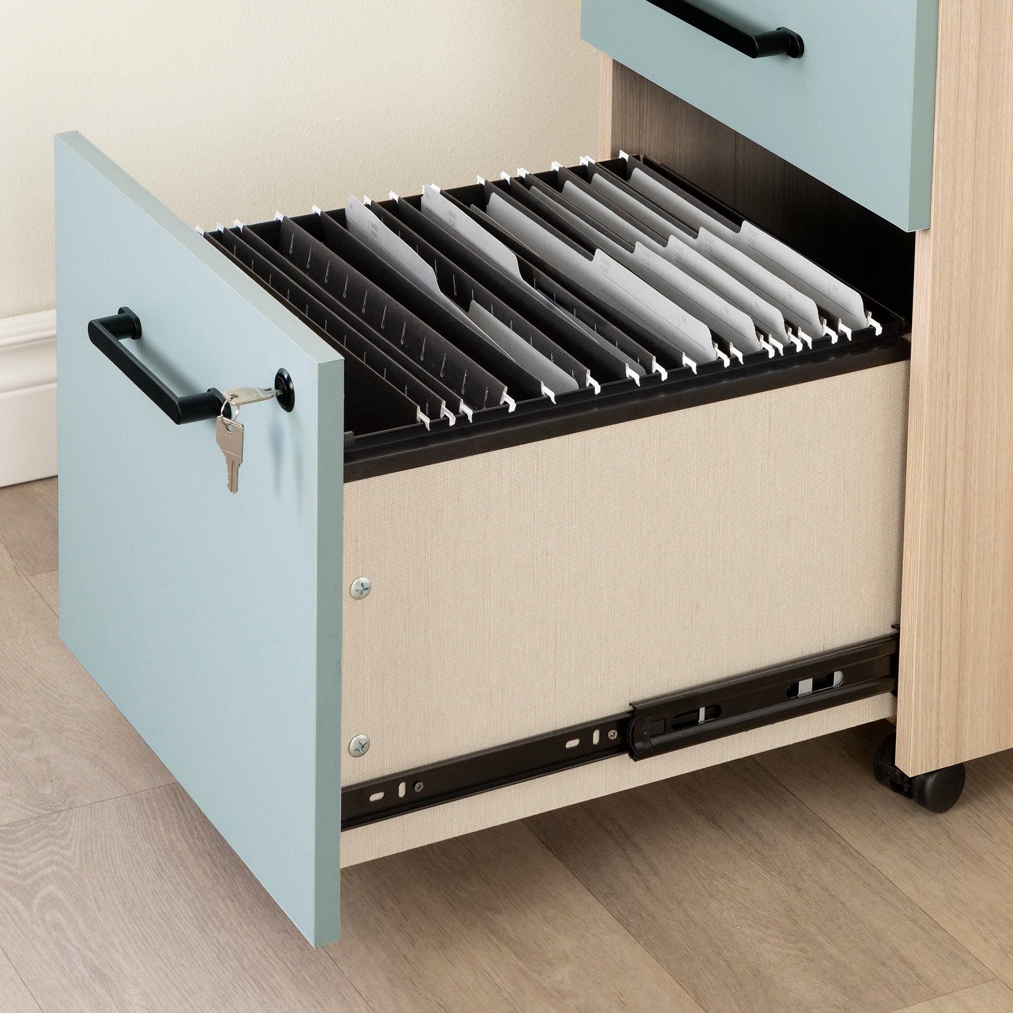 2-Drawer Mobile File Cabinet F974033