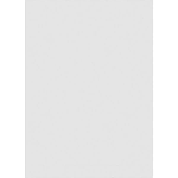 30x22W x 42x22H Vertical Surface Mount PVC Gable Vent with Brickmould A583