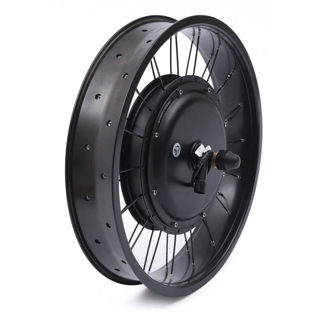 20" Electric Bicycle Front Wheel Conversion Kit Fat Tire 1000W 48V K435