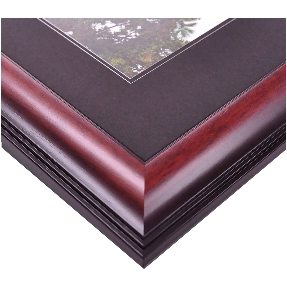 Diploma Frame N100169