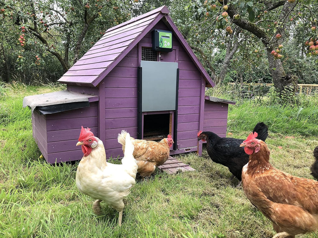 Automatic Coop OpenerCloser with Light Sensor and Timer P976