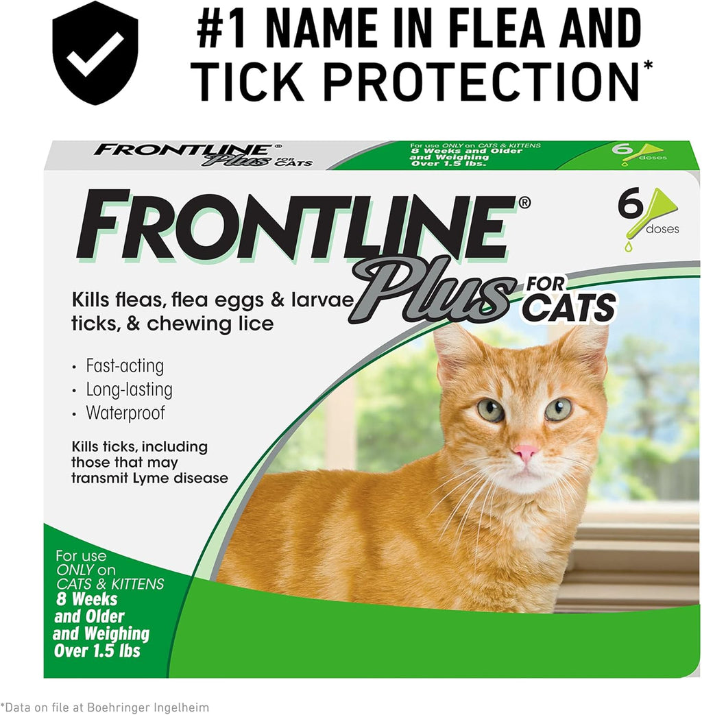 Flea and Tick Treatment for Cats K18945