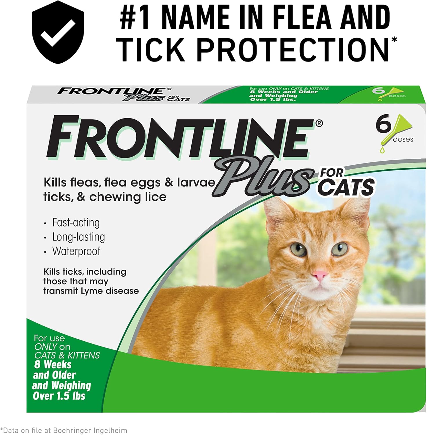 Flea and Tick Treatment for Cats K18945