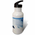 21 oz Sports Water Bottle I768