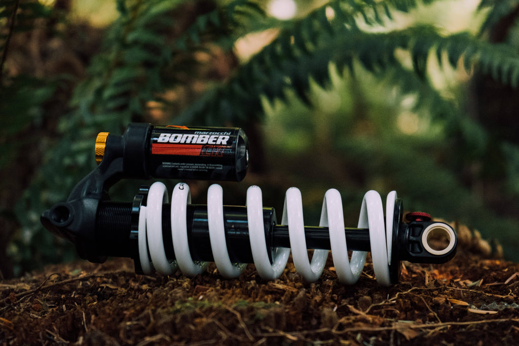 Bomber CR Trunnion Rear Shock 225mm x 75mm G421