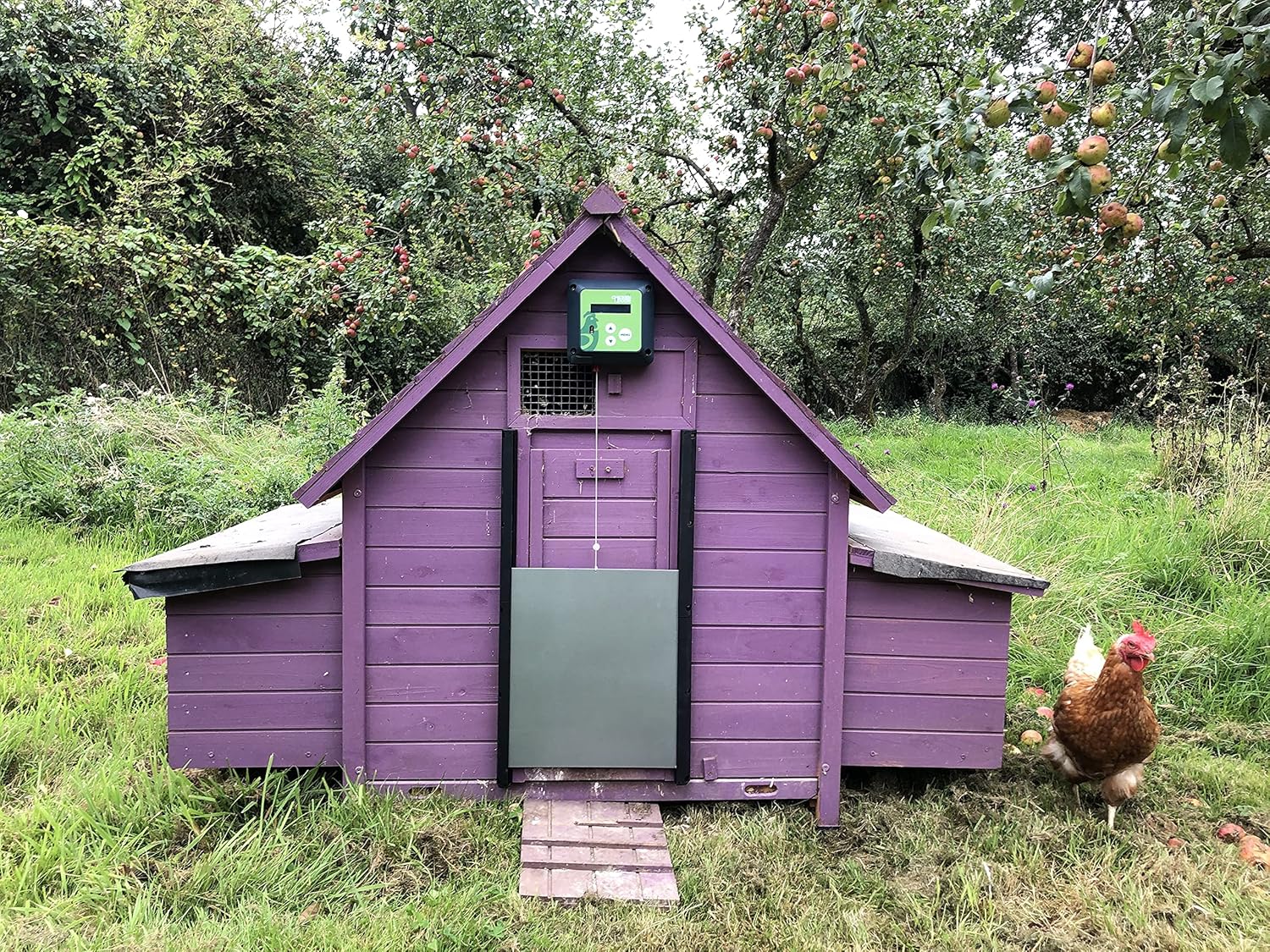 Automatic Coop OpenerCloser with Light Sensor and Timer P976
