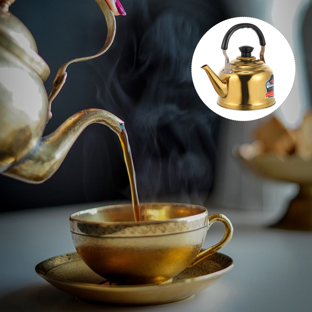 Stainless Steel Whistling Tea Kettle Stovetop Pot E554