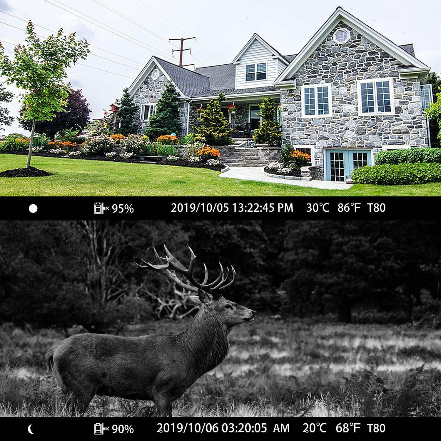 WiFi Trail Camera 24MP 1296P with No Glow Night Vision 82FT, IP66 Waterproof A5300